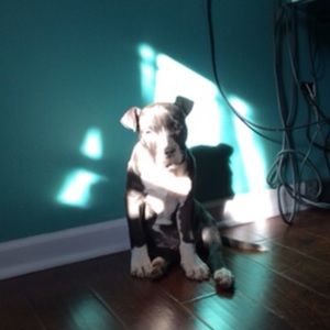 Meet your Posher, Natalia